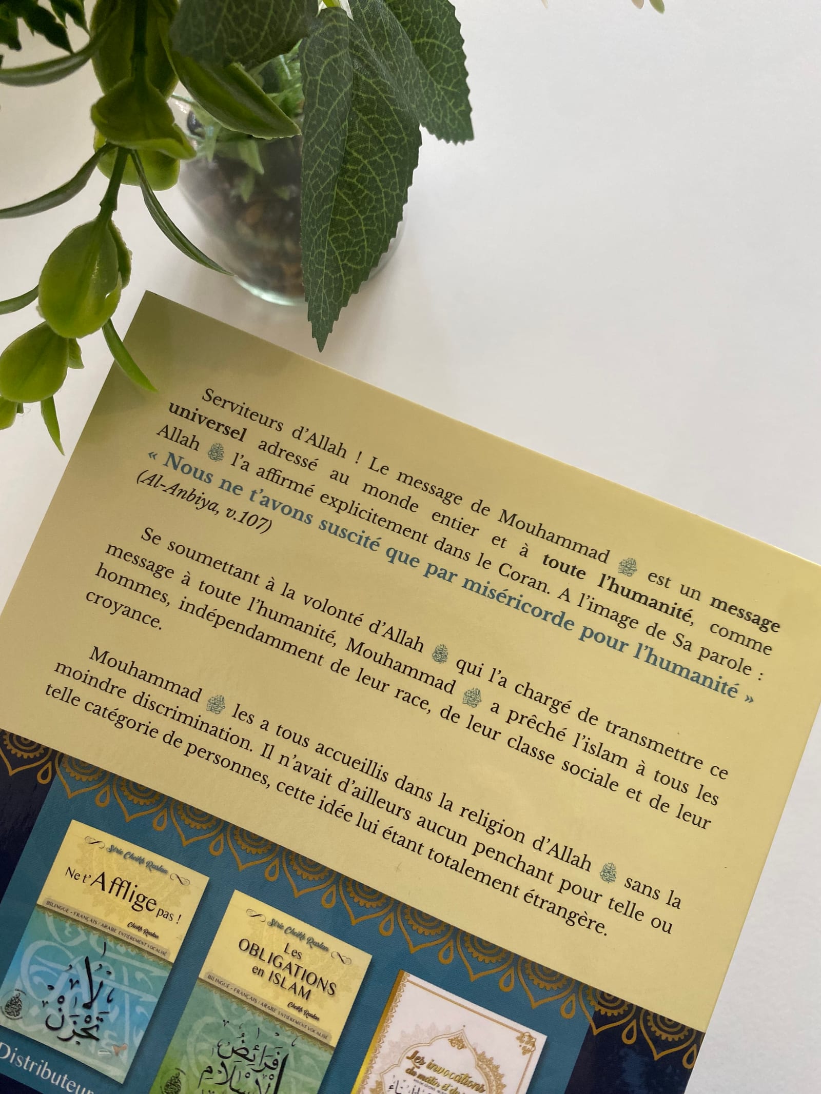 L'universalité du message de l'Islam — Kitaberie, vue produit vue 2