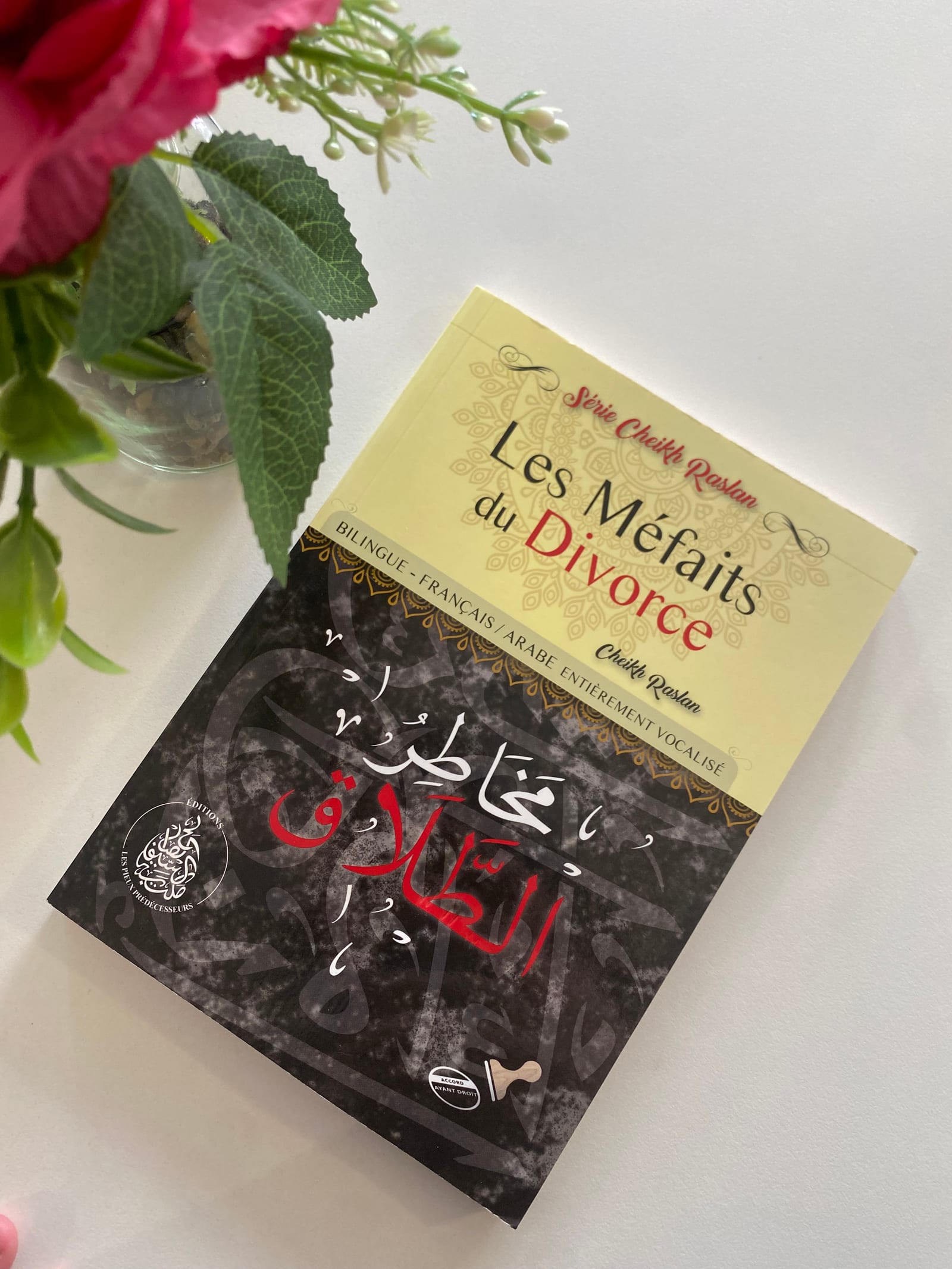 Les méfaits du divorce  — Kitaberie, vue produit