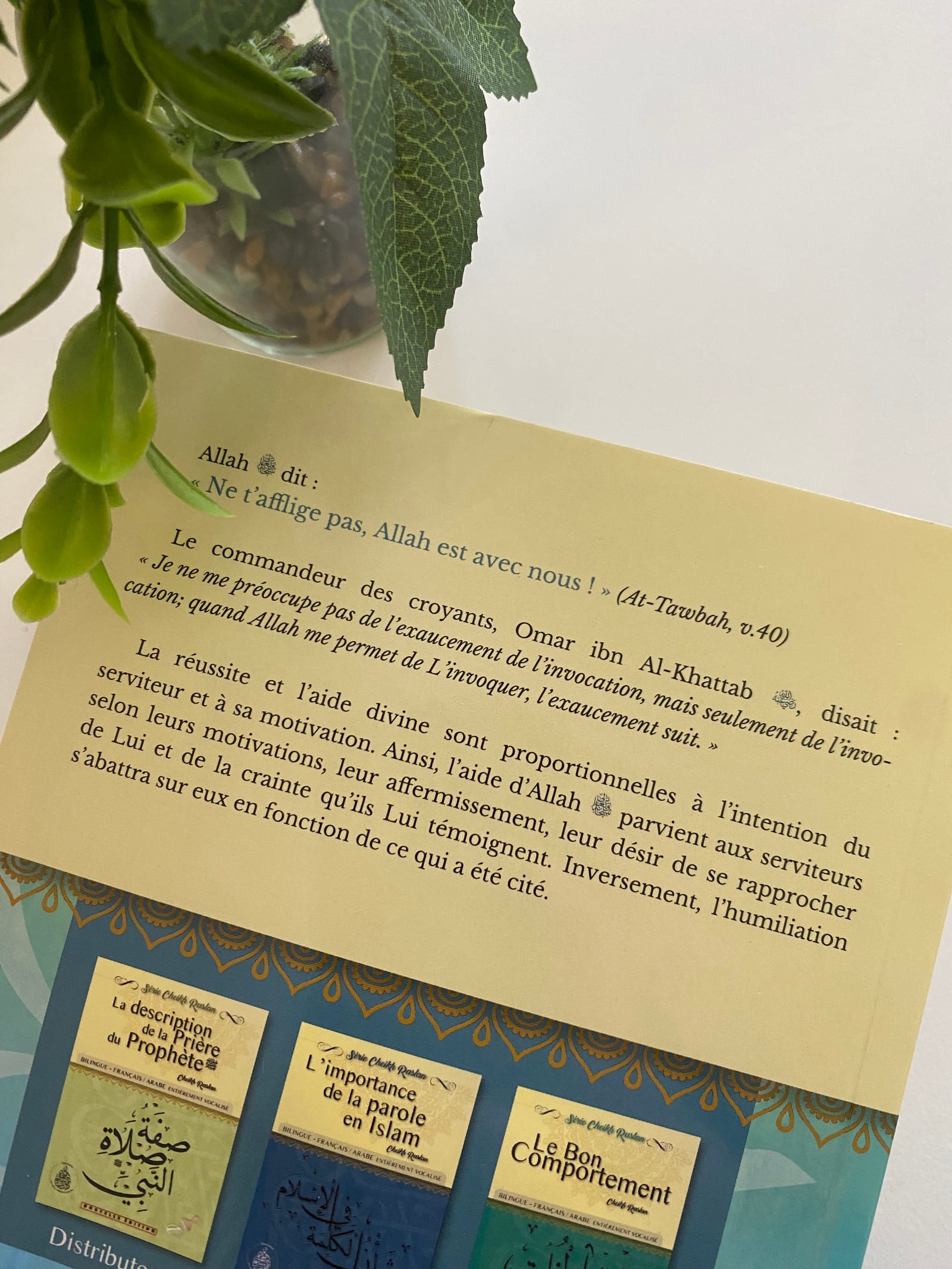 Ne t'afflige pas ! — Kitaberie, vue produit vue 2