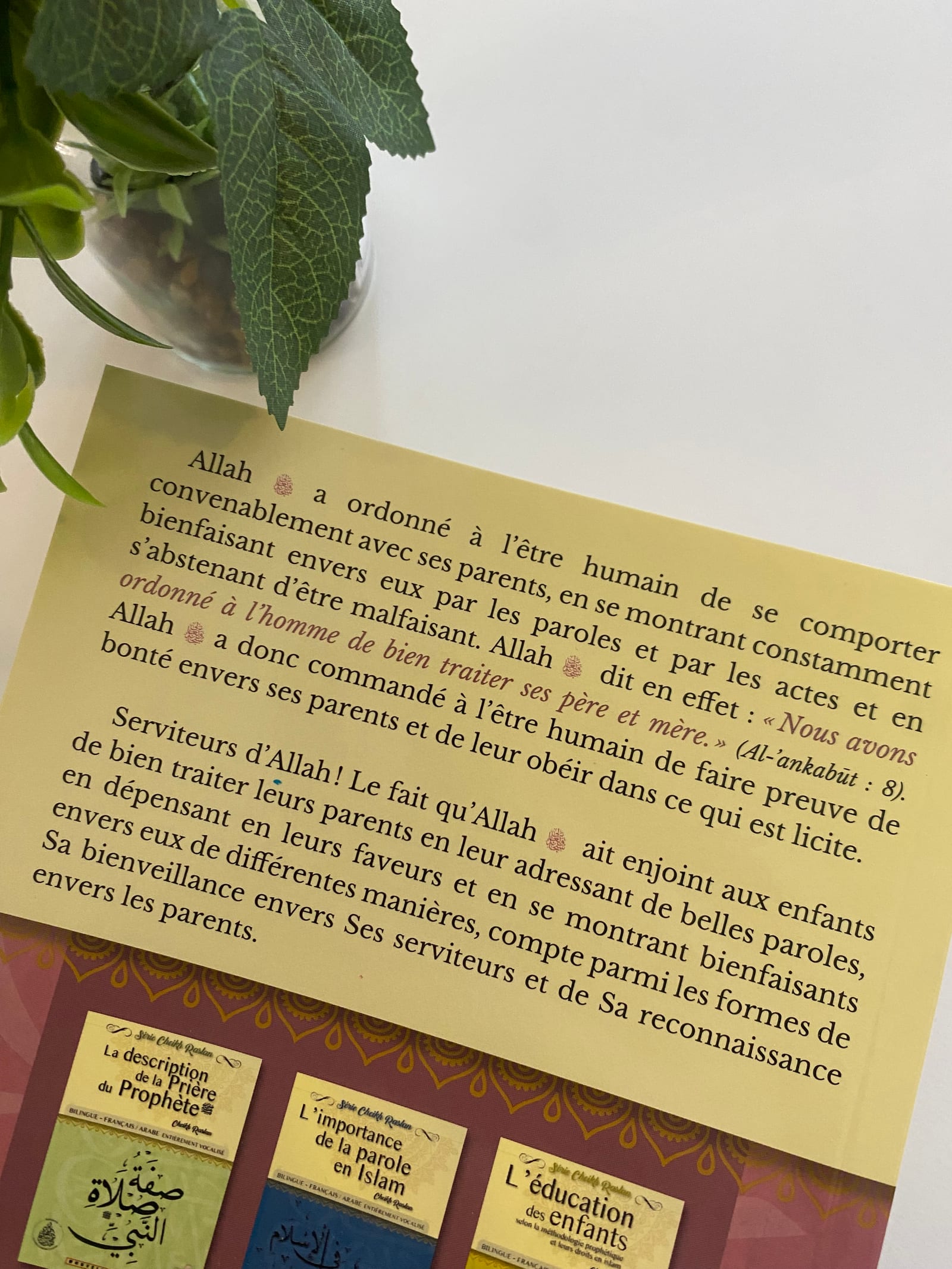 La bonté de la mère — Kitaberie, vue produit vue 2