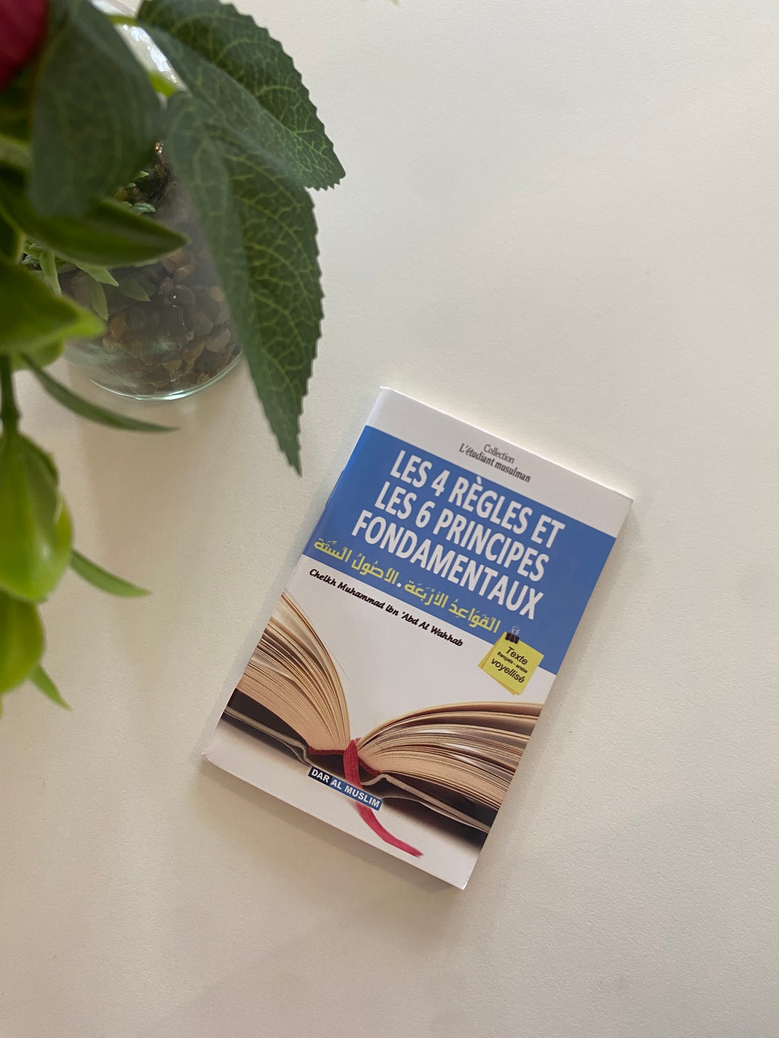 Matn : Les 4 réglés et les 6 principe fondamentaux  — Kitaberie, vue produit
