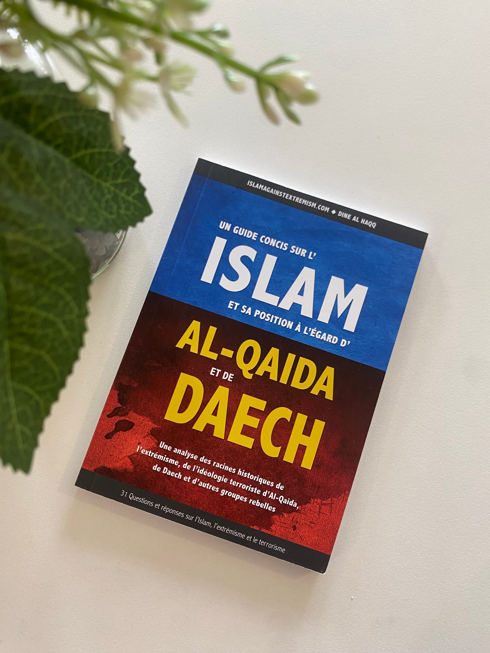 Un guide concis sur l'Islam et sa position à l'égard d'al qaida et de daesh    — Kitaberie, vue produit
