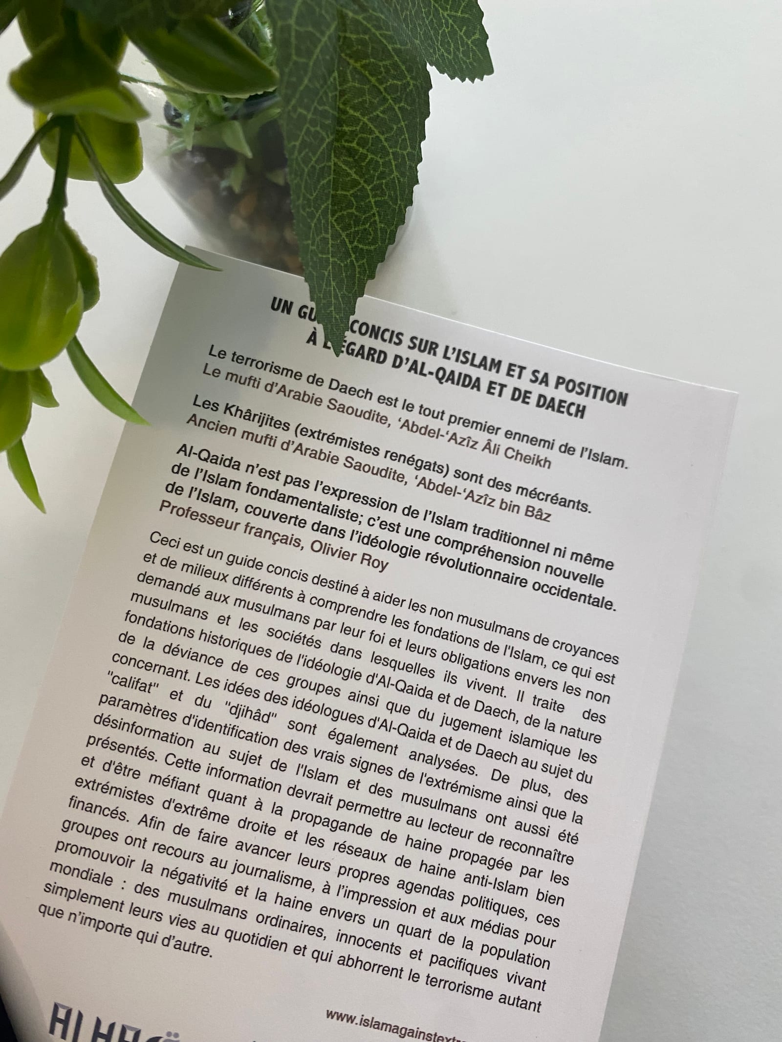 Un guide concis sur l'Islam et sa position à l'égard d'al qaida et de daesh    — Kitaberie, vue produit vue 2