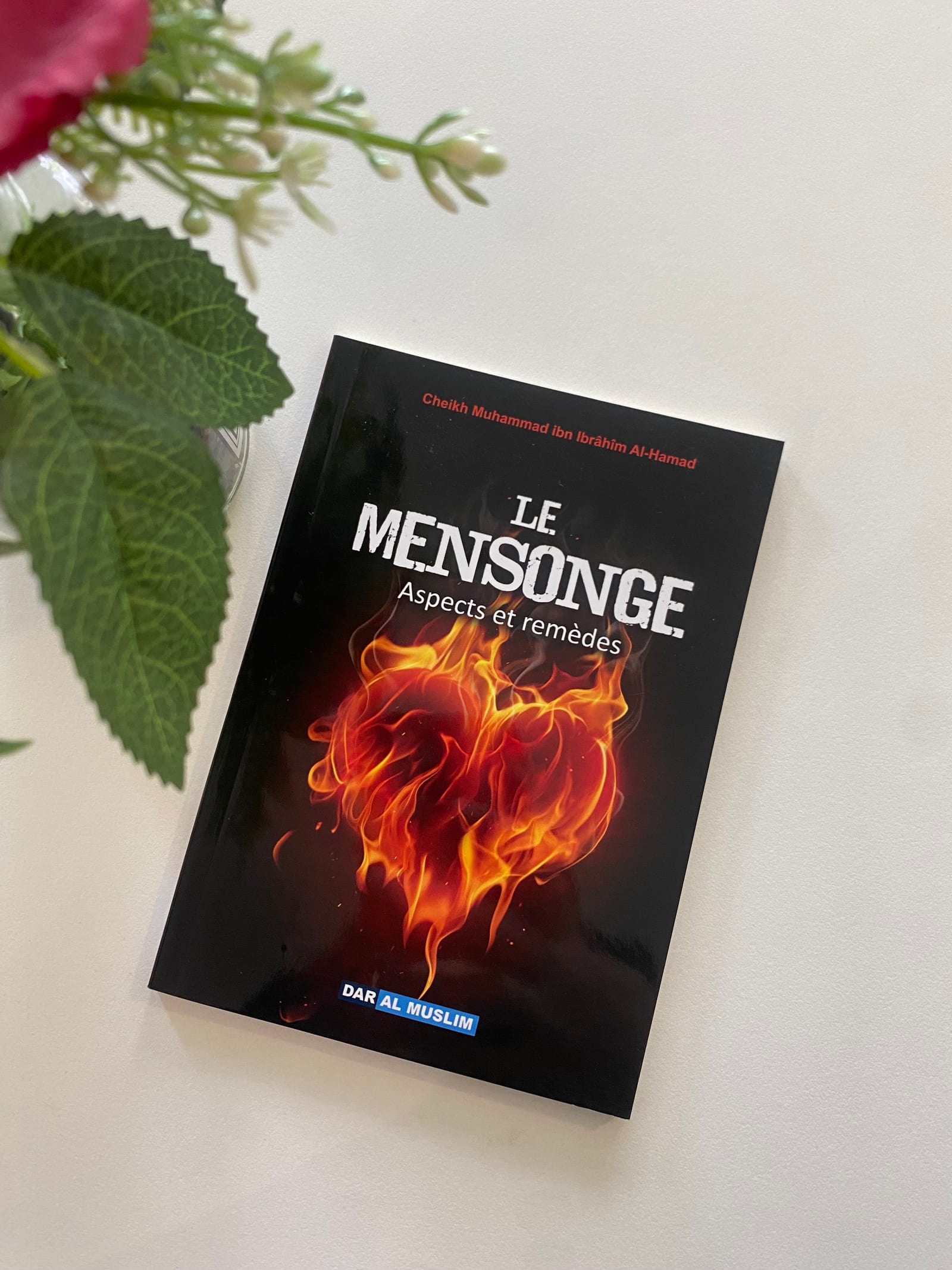 Le mensonge aspect et remèdes  — Kitaberie, vue produit