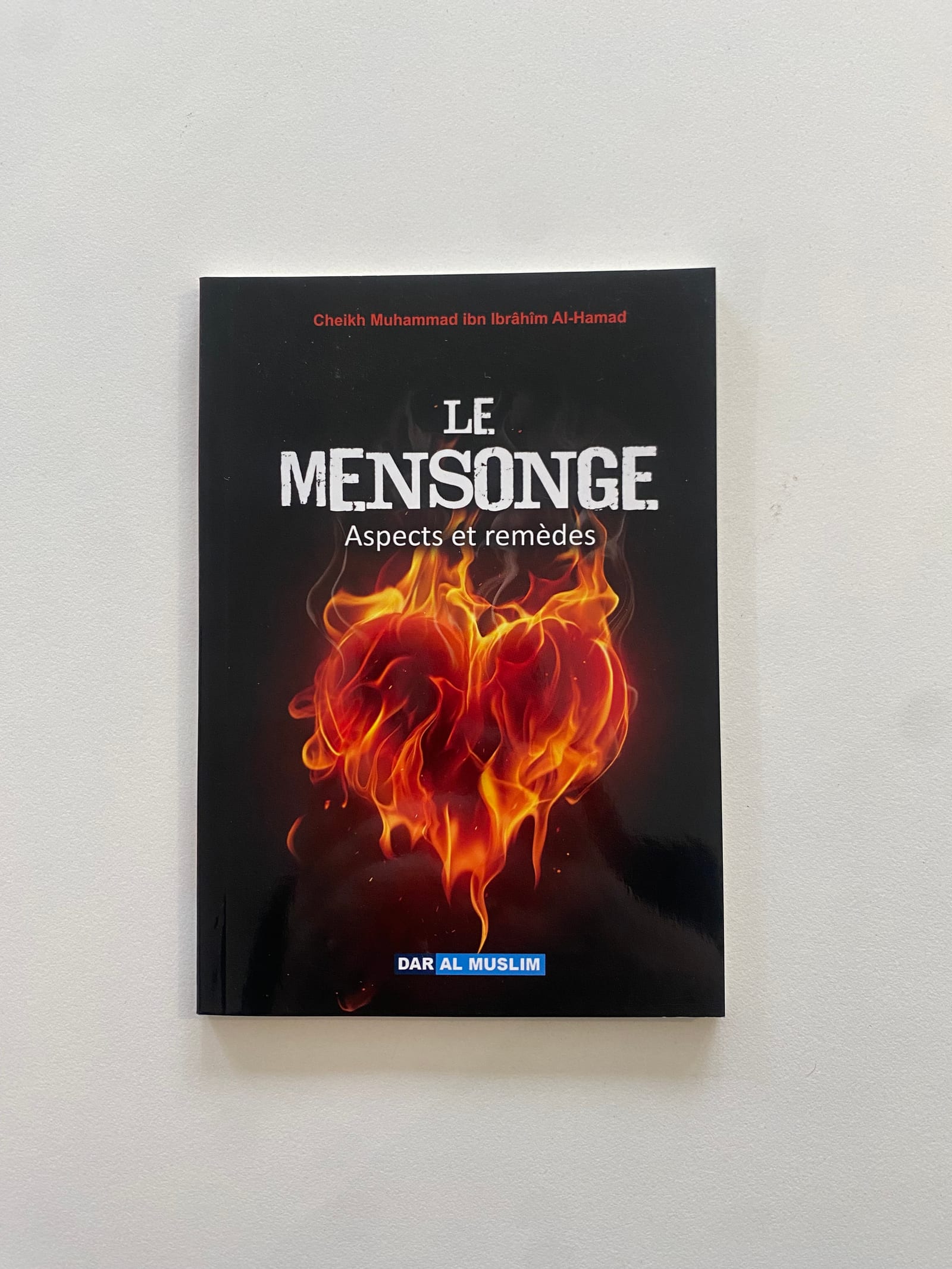 Le mensonge aspect et remèdes  — Kitaberie, vue produit vue 3