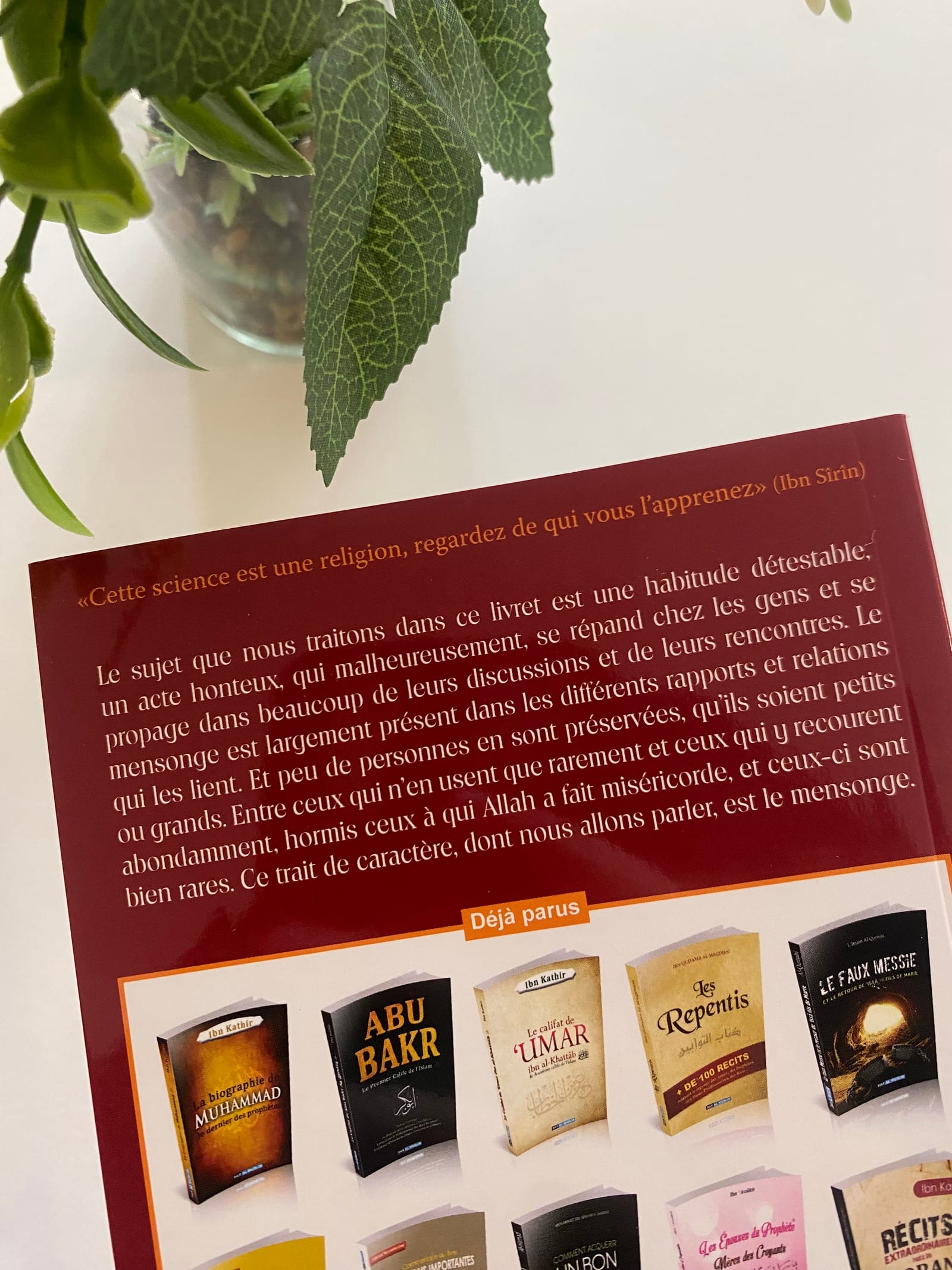 Le mensonge aspect et remèdes  — Kitaberie, vue produit vue 2